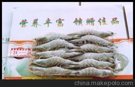 【南美對蝦(圖)】價格,廠家,圖片,蝦類,湛江市霞山區(qū)鑫昌水產(chǎn)品貿(mào)易-